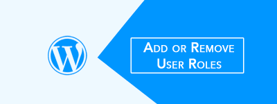 Add or Remove WordPress User Roles Without Plugin (Simple Code) ? image