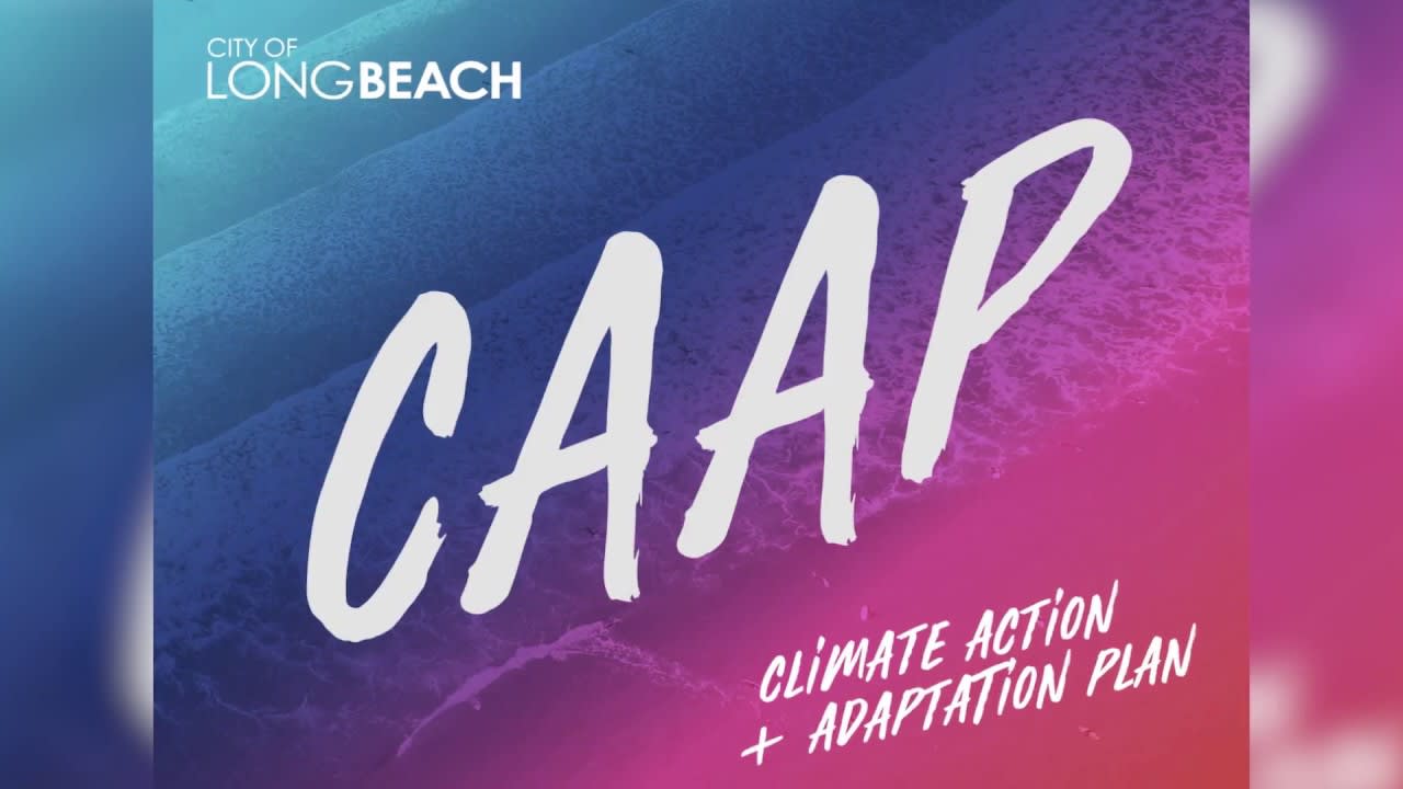 Climate Action and Adaptation Plan Logo