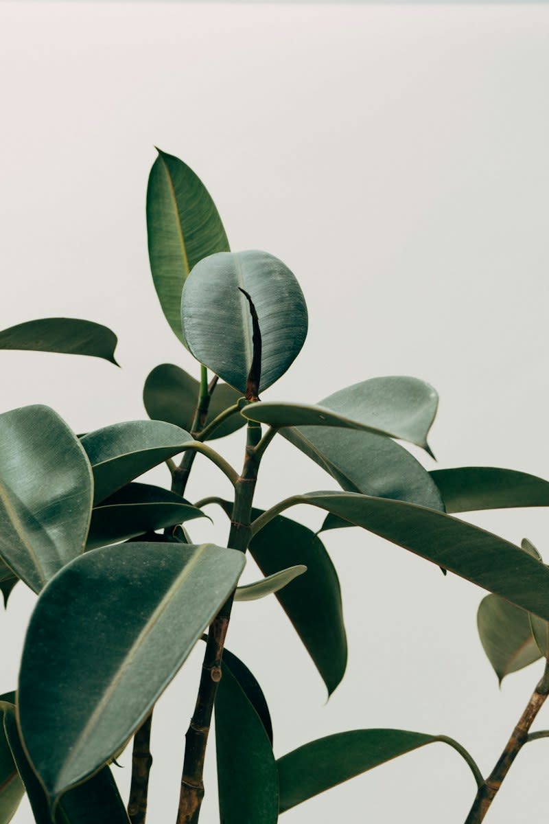 Discovery for Youth & Singles — 4