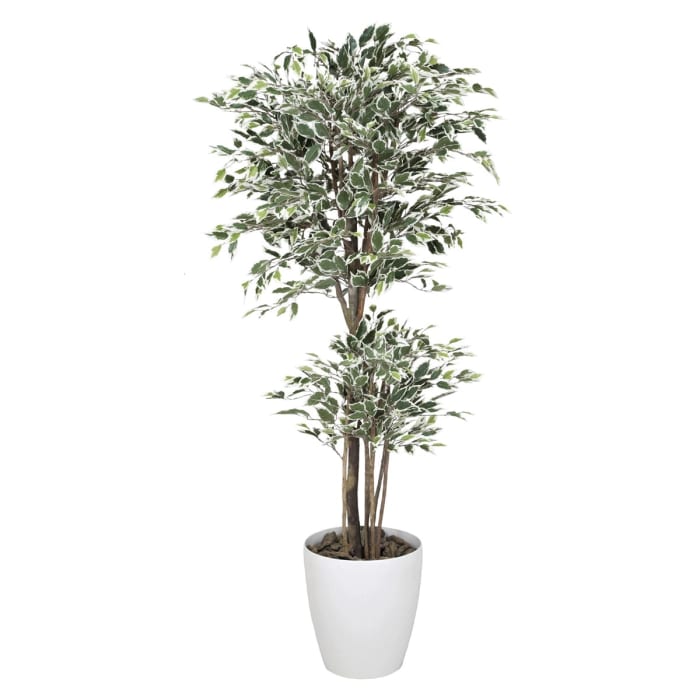トロピカルベンジャミン斑入り1 6 166g450 光触媒 人工観葉植物 アートクリエイション Hustnet通販