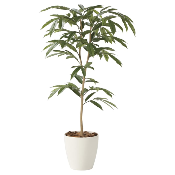 アムステルラバーキング1 6 2249a300 光触媒 人工観葉植物 アートクリエイション Hustnet通販