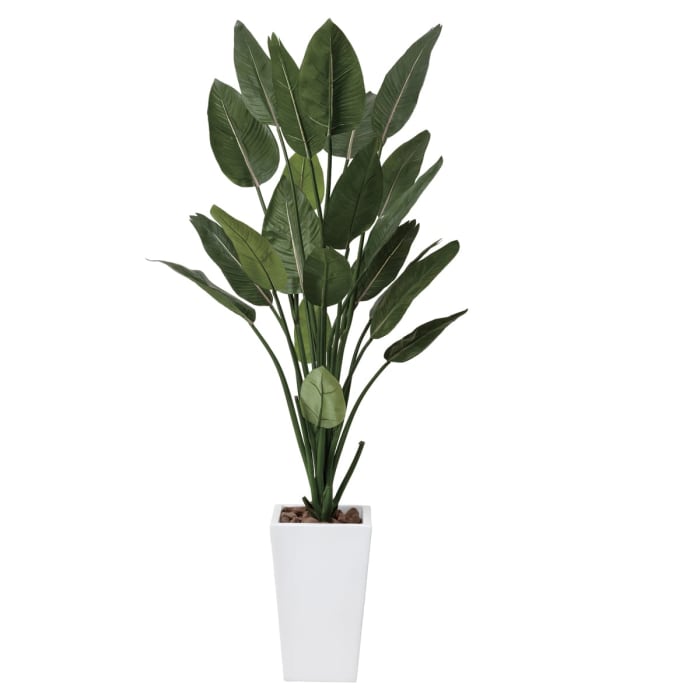 ストレチアw1 6 409a500 光触媒 人工観葉植物 アートクリエイション Hustnet