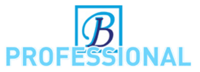 GIS BASEPAC 10 Professional Edition