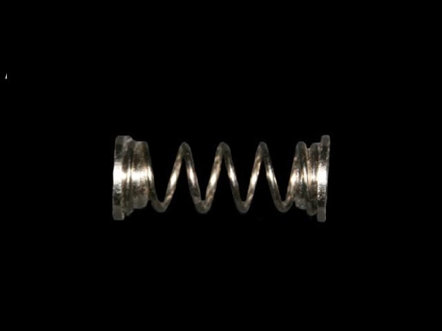 Replacement Spring for Ring