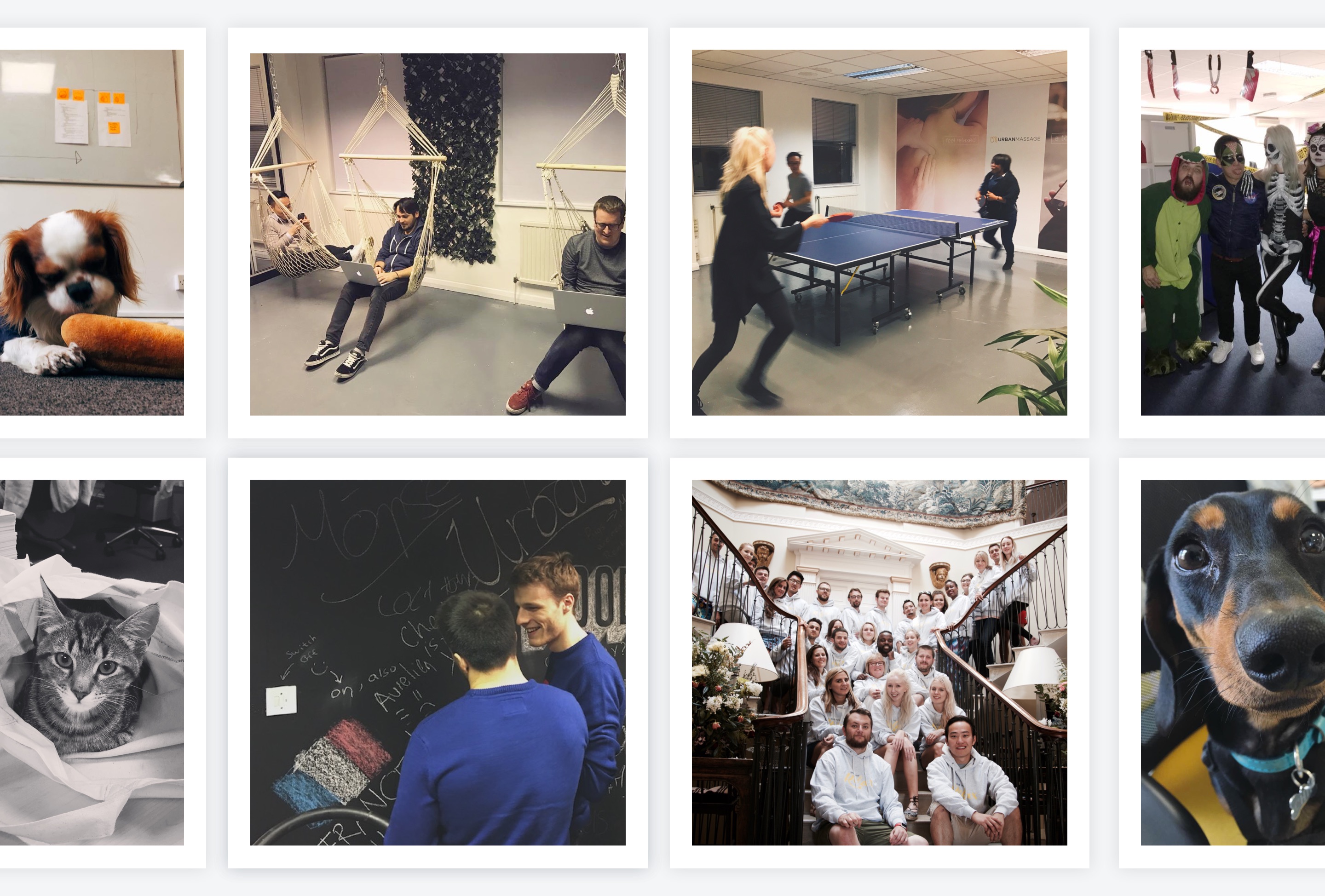 Urban team members at the office and company activities