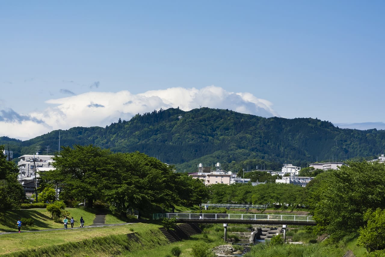 趣味にひとりごちる