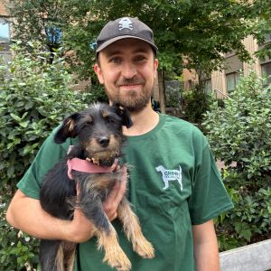 Luke - Dog walker for Green Dog Walking in London