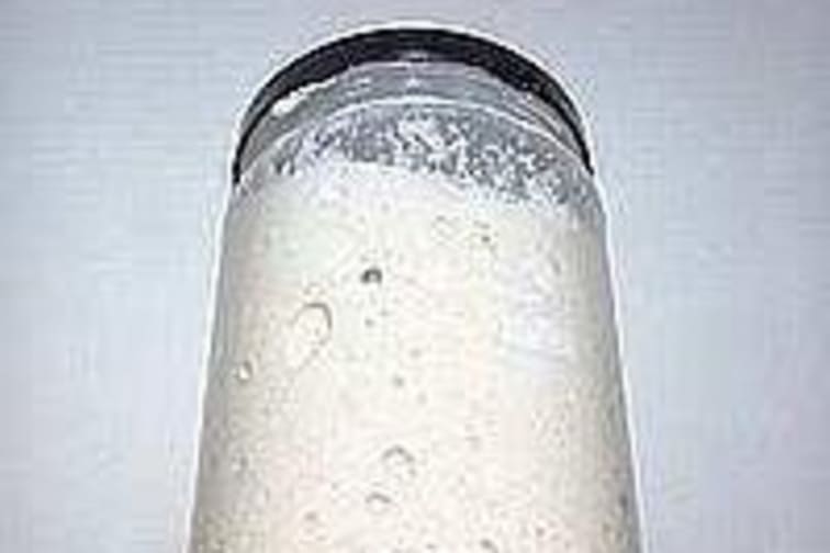 Pain au levain - Réalisation du levain - Etape 14