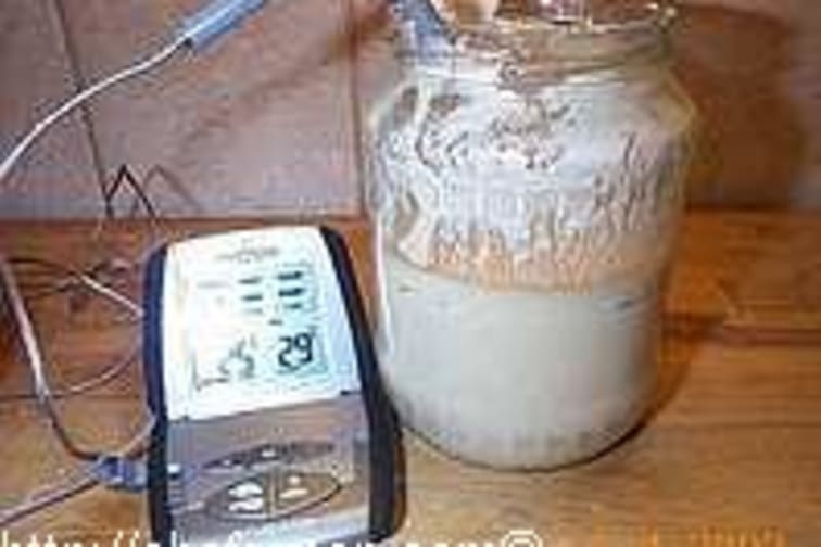 Pain au levain - Réalisation du levain - Etape 8