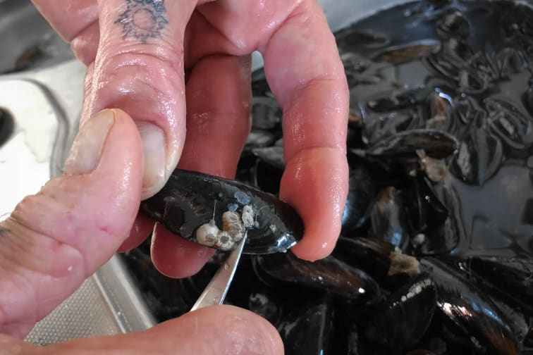 Préparer les moules - Etape 4