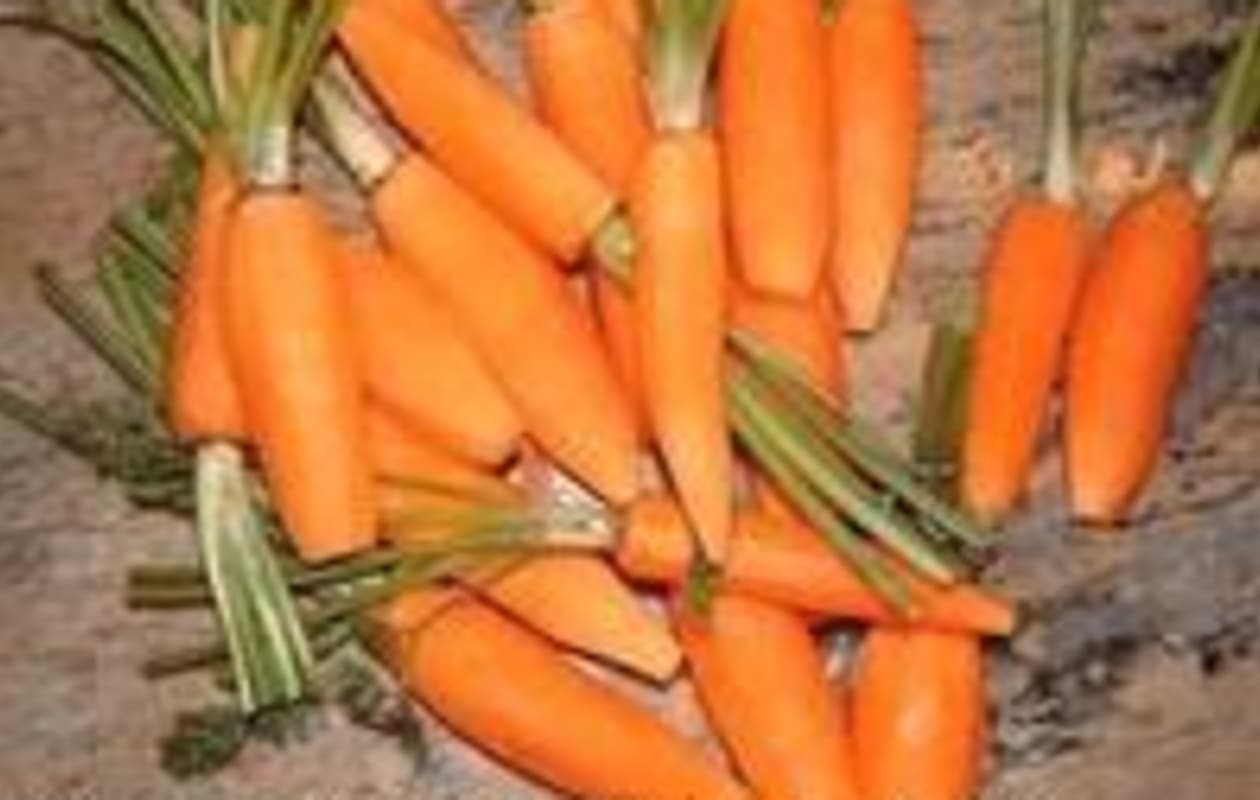 Présenter et cuire des carottes primeur - Etape 3