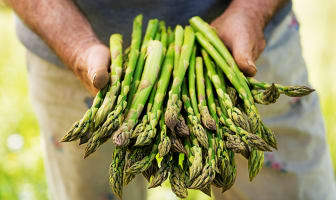 Vive l'asperge, reine du printemps !