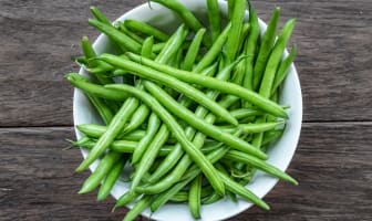 Le haricot vert