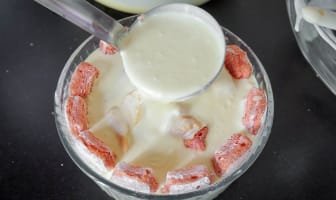 Bavarois