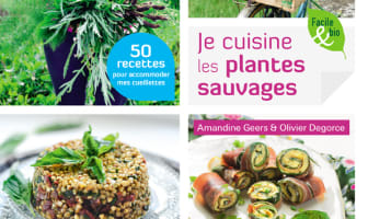 Je cuisine les plantes sauvages