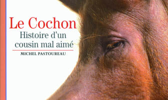 Le cochon - Histoire d'un cousin mal aimé