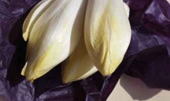 L'endive