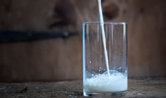 Le lait - Entre saveur et conservation quel est le lait qui vous convient ?