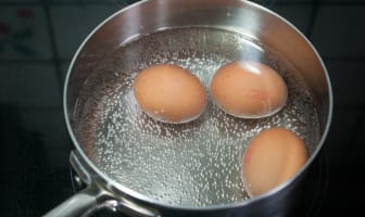 Techniques appliquées aux oeufs