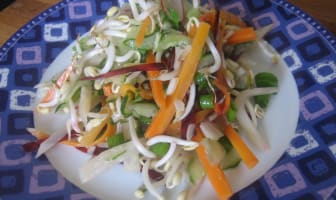 Salade de légumes primeurs et graines germées