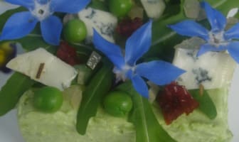 Bavarois de petits de pois sur sablé, salade au Bleu de Gex