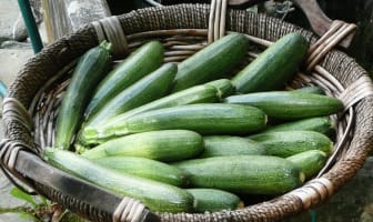 Courgettes dans un panier