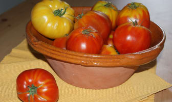 Récolte de tomates anciennes dans un saladier en terre cuite