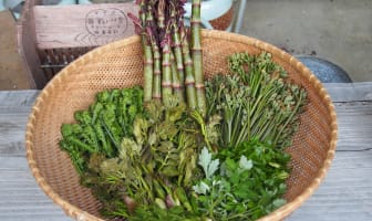 Panier de plantes sauvages comestibles