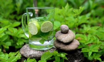 Verre d'eau, citron et menthe fraîche