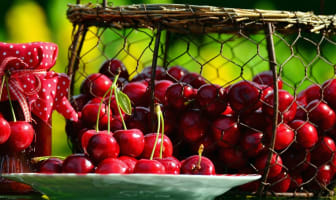 Confiture de cerises