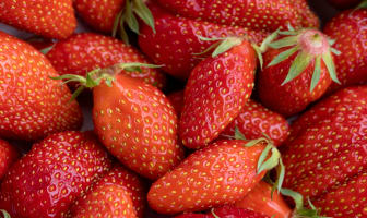 Bol de fraises Garriguettes