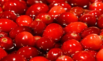 Cranberries en vrac