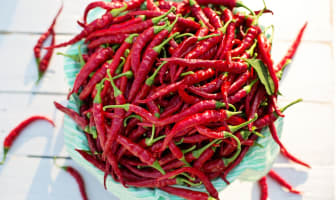 Piment de Cayenne