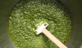 Sauce Pesto