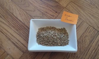 Graines de ajwain