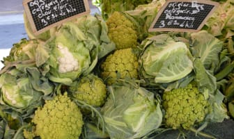 Assortiment de choux-fleur et de chou romanesco