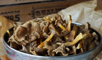 Chanterelles dans un plateau