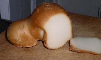 Scamorza