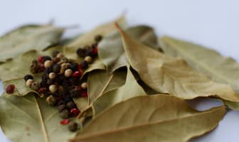 Feuilles de laurier