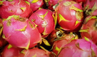 Fruits du dragon ou pitaya