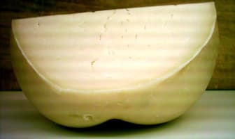 Provolone