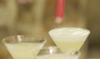 Verres de cocktails gin fizz