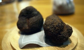 Truffes noires du Périgord