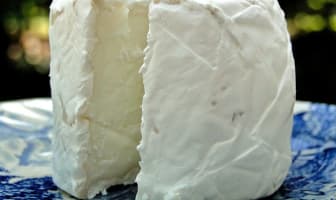 Fromage de chèvre frais