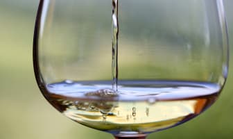 Verre de vin blanc