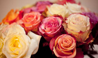 Bouquet de roses