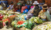 Marché alimentaire en Bolivie