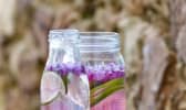 5 recettes d'eau aromatisée à faire soi-même pour lutter contre la canicule