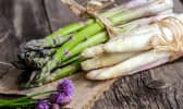 Asperges : tout ce qu'il faut savoir pour les cuisiner et les apprécier