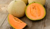 Melon, mode d'emploi